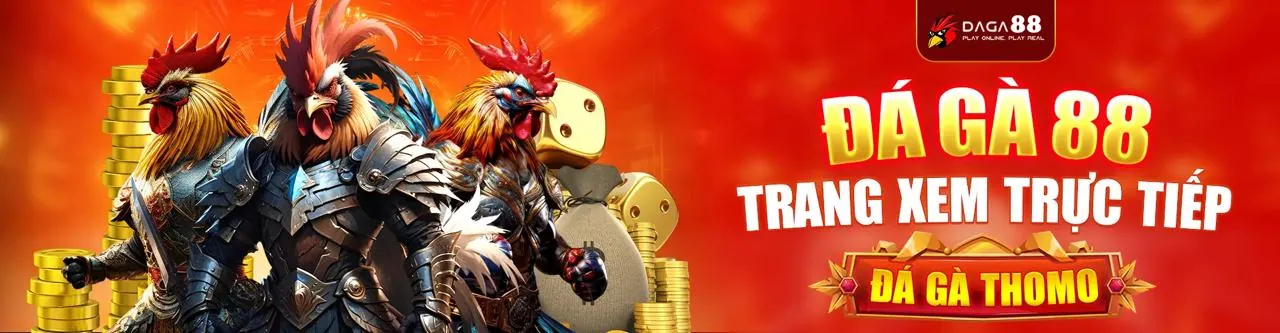 cwin555 code: Nền Tảng Giải Trí Trực Tuyến Hàng Đầu 2026
