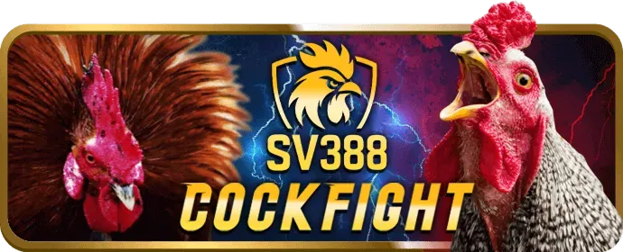 Chương Trình VIP & Khách Hàng Thân Thiết Cwin555 Code